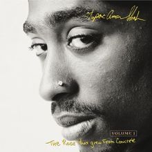 Rose That Grew from Concrete (2Pac Tribute)