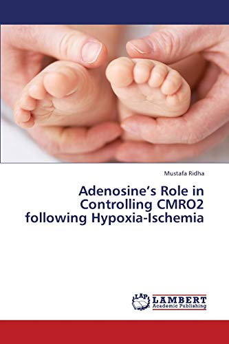 Adenosine’s Role in Controlling CMRO2 following Hypoxia-Ischemia