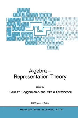 Algebra - Representation Theory: Proceedings of the NATO Advancesd Study Institute, Constantia, Romania, 2nd to 12th August 2000 (Nato Science Series II:)