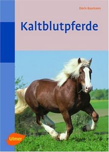 Kaltblutpferde