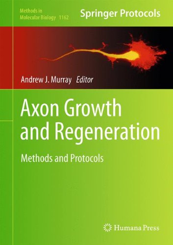 Axon Growth and Regeneration: Methods and Protocols (Methods in Molecular Biology)