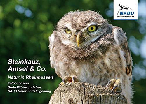 Steinkauz, Amsel & Co.: Natur in Rheinhessen