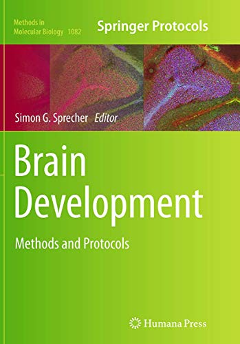 Brain Development: Methods and Protocols (Methods in Molecular Biology, Band 1082)