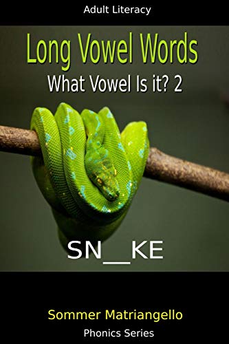 Long Vowel Words: What Vowel Is It? 2