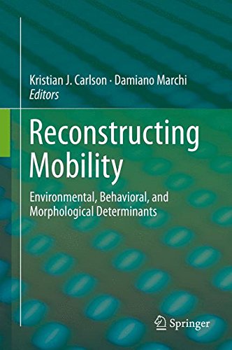 Reconstructing Mobility: Environmental, Behavioral, and Morphological Determinants