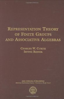 Representation Theory of Finite Groups and Associative Algebras (Ams Chelsea Publishing, Band 356)