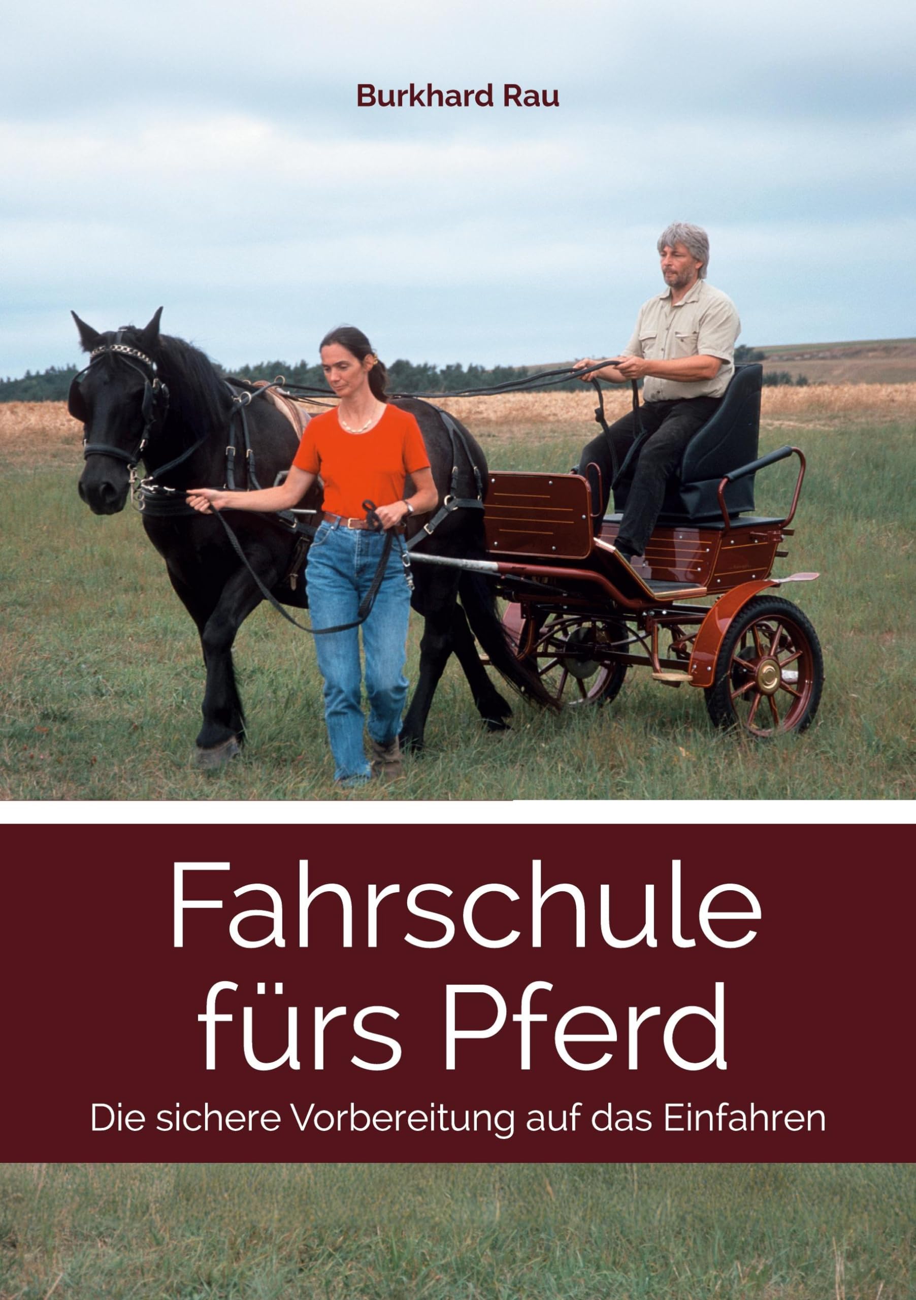 Fahrschule fürs Pferd: Die sicher Vorbereitung auf das Einfahren