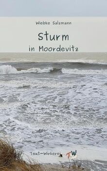 Sturm in Moordevitz: Ein Krimi zum großen Sturmhochwasser an der Ostsee 1872