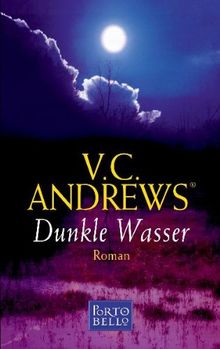 Dunkle Wasser: Roman