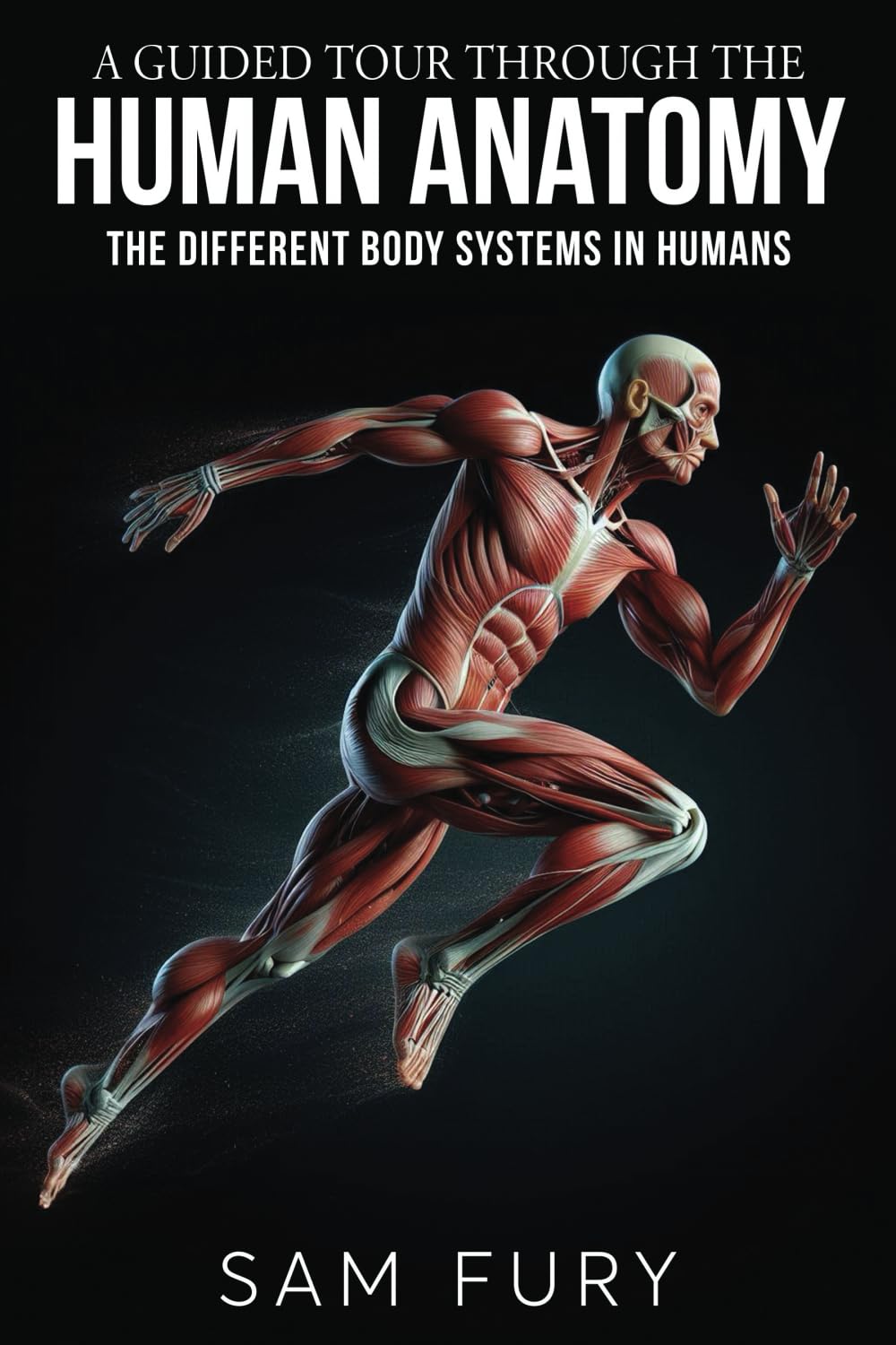 A Guided Tour Through the Human Anatomy: The Different Body Systems In Humans (Functional Health Series)