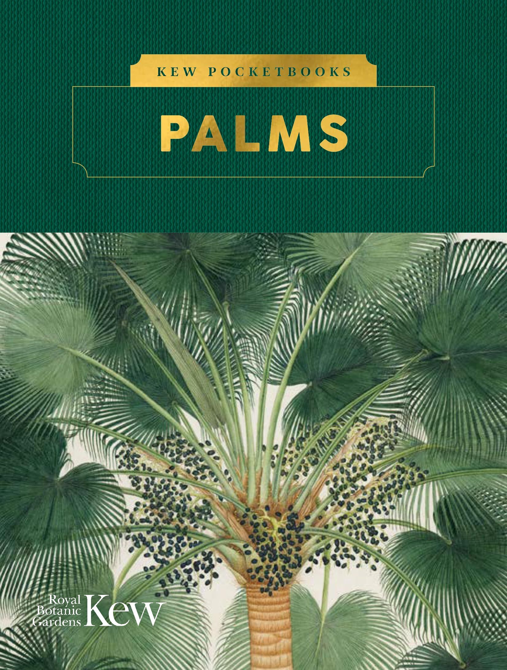 Kew, Royal Botanic Gardens Palms