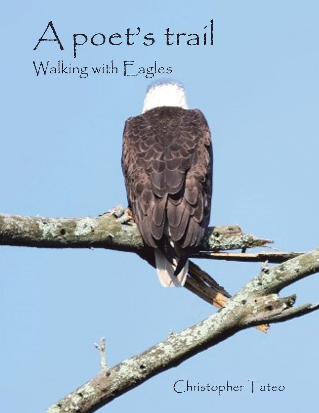 A poet's trail: Walking with Eagles