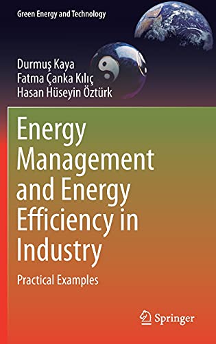 Energy Management and Energy Efficiency in Industry: Practical Examples (Green Energy and Technology)