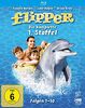 Flipper - Die komplette 1. Staffel (Fernsehjuwelen) [Blu-ray]