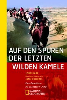 Auf den Spuren der letzten wilden Kamele