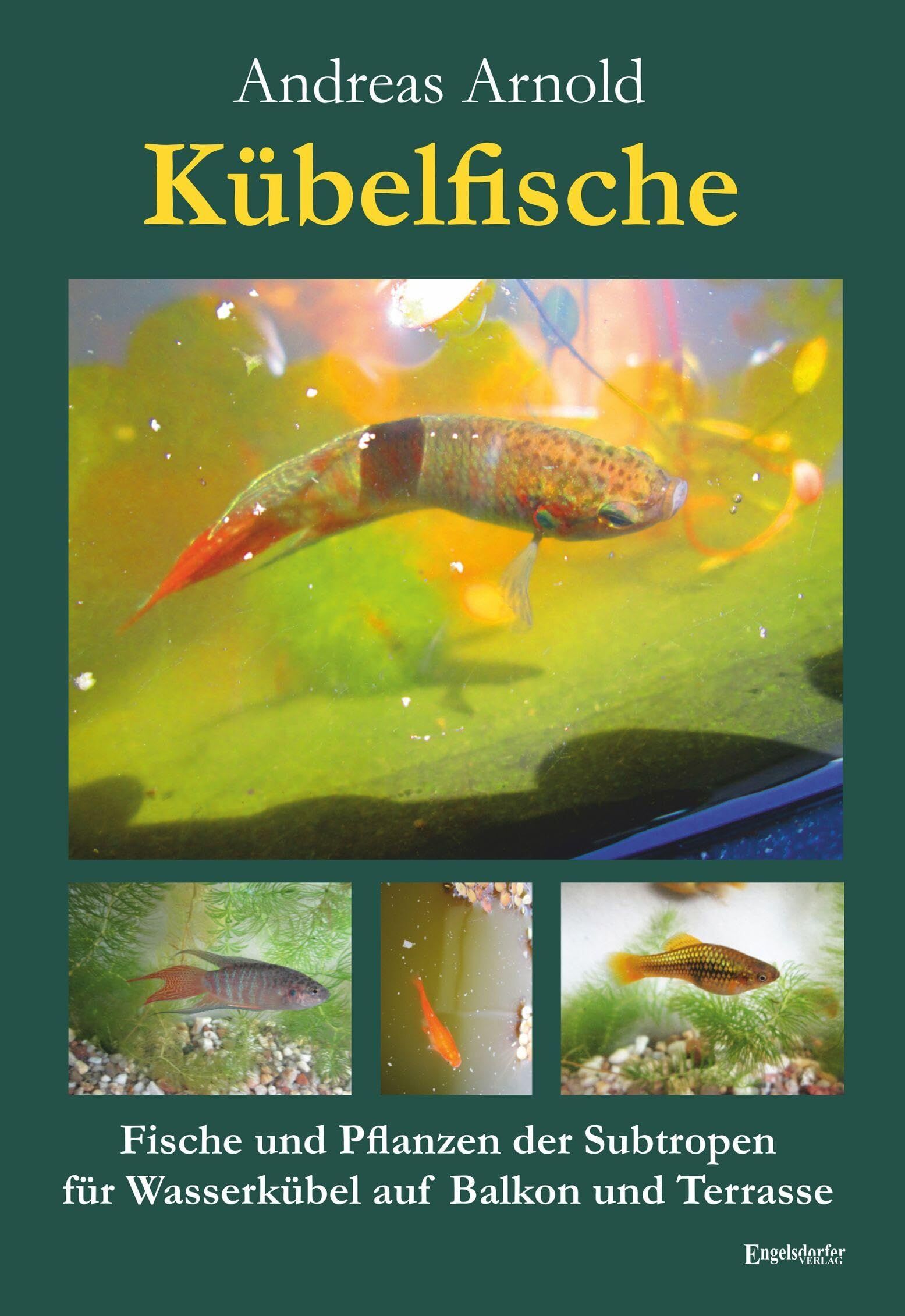 Kübelfische - Neuware