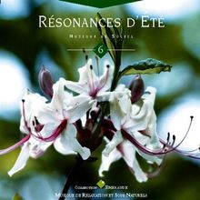 Summer Resonnances