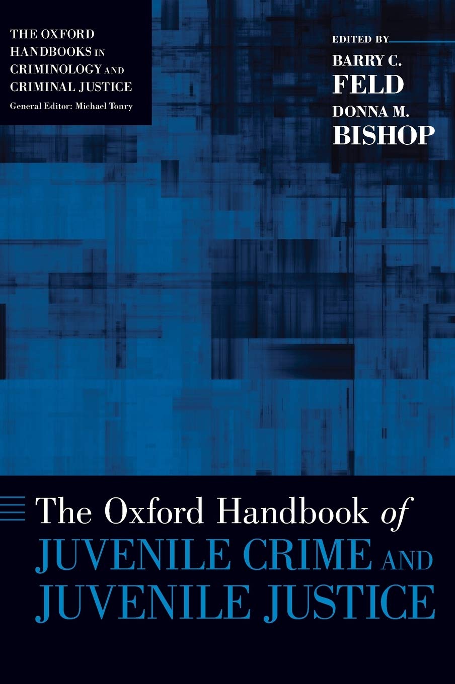 Oxford Handbook of Juvenile Crime and Juvenile Justice (Oxford Handbooks in Criminology and Criminal Justice)