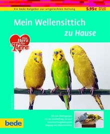 Mein Wellensittich zu Hause