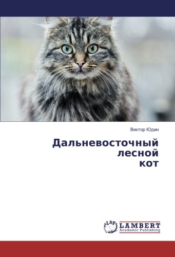 Дальневосточный лесной кот
