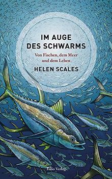 Im Auge des Schwarms. Von Fischen, dem Meer und dem Leben