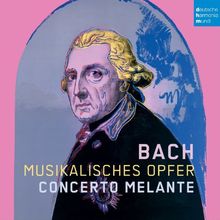 Musikalisches Opfer von Concerto Melante | CD | Zustand sehr gut