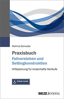 Praxisbuch Fallverstehen und Settingkonstruktion: Hilfeplanung für krisenhafte Verläufe. Mit E-Book inside