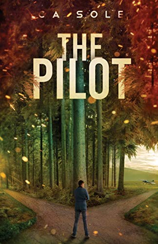 The Pilot: His student pilot is being stalked, and she thinks it’s him. Someone is smuggling immigrants, and Scott himself is being hunted. (Scott Trilogy, Band 3)