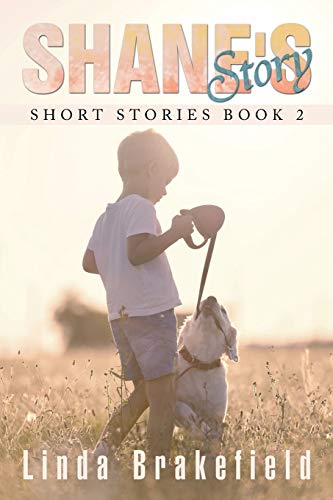 Shane's Story: Short Stories Book 2