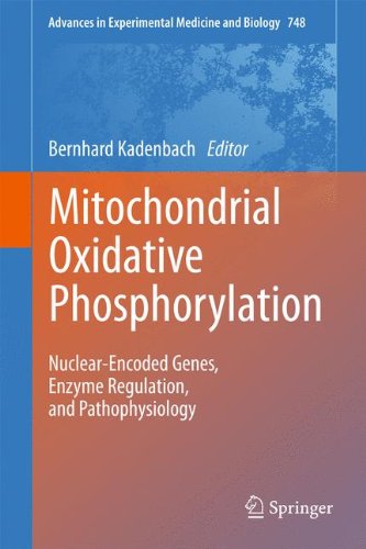 Mitochondrial Oxidative Phosphorylation: Nuclear-Encoded Genes, Enzyme Regulation, and Pathophysiology (Advances in Experimental Medicine and Biology)
