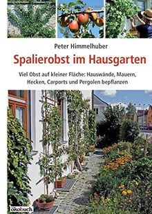 Spalierobst im Hausgarten: Viel Obst auf kleiner Fläche: Hauswände, Mauern, Hecken, Carports und Pergolen bepflanzen