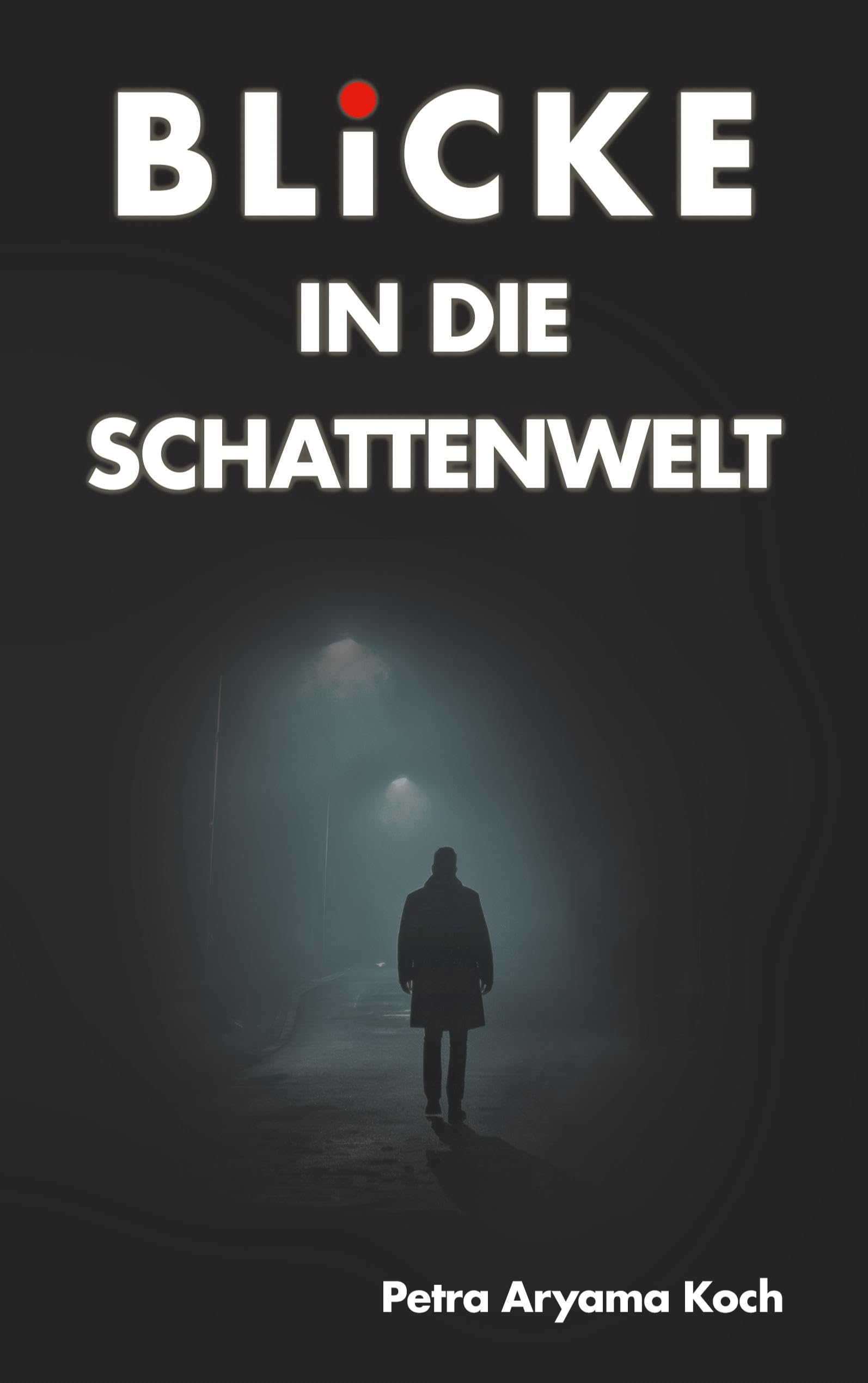 Blicke in die Schattenwelt: Mysteriöse Geschichten zwischen Alltag und Abgrund
