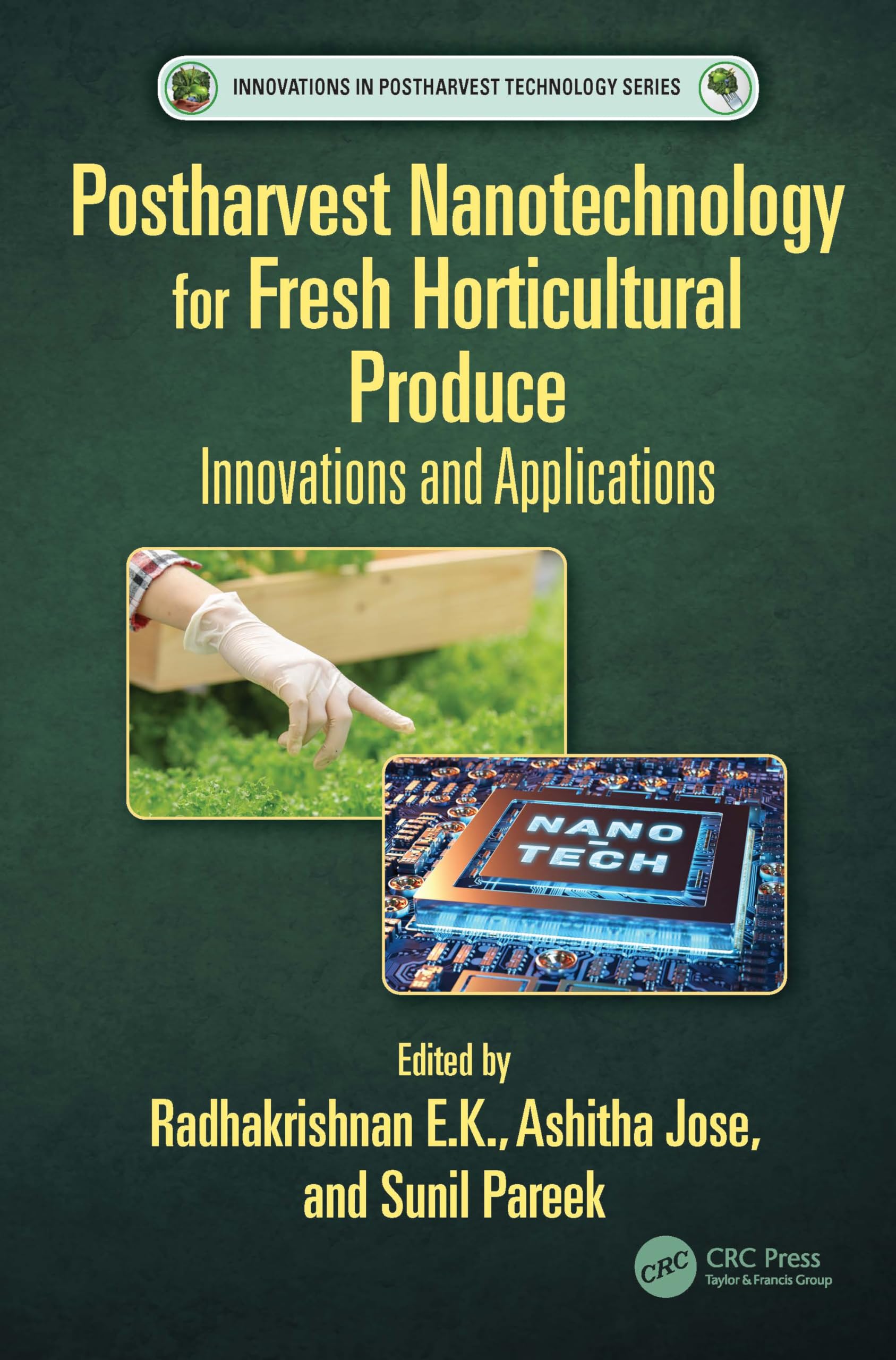 Postharvest Nanotechnology for Fresh Horticultural Produce: Innovations and Applications (Innovations in Postharvest Technology)