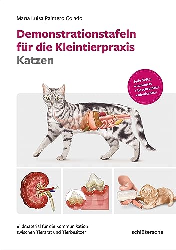 Demonstrationstafeln für die Kleintierpraxis Katzen: Bildmaterial für die Kommunikation zwischen Tierarzt und Tierbesitzer. Jede Seite: laminiert, beschreibbar, abwischbar