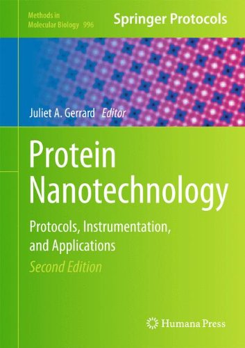 Protein Nanotechnology: Protocols, Instrumentation, and Applications, Second Edition (Methods in Molecular Biology)