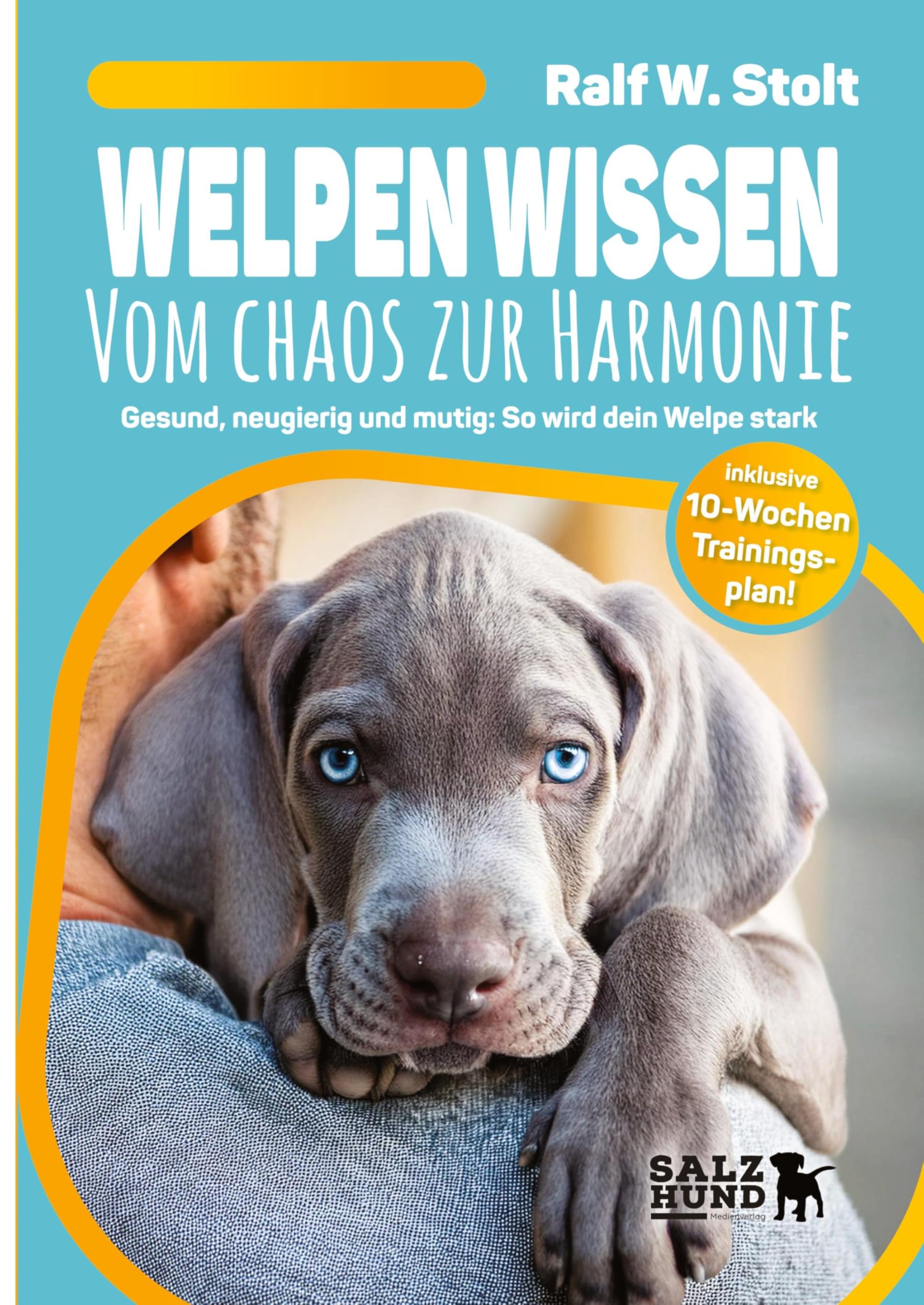 Welpen Wissen - Vom Chaos zur Harmonie: Gesund, neugierig und munter: So wird dein Welpe stark - inkl. 10-Wochen-Trainingsplan (HundeWissen: Praxisorientierte Ratgeber für ein erfülltes Hundeleben)