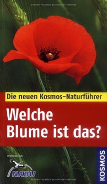 Welche Blume ist das?