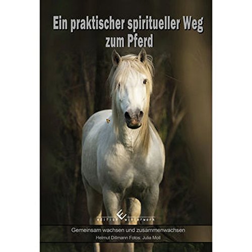 Ein praktischer spiritueller Weg zum Pferd - Helmut Dillmann Taschenbuch