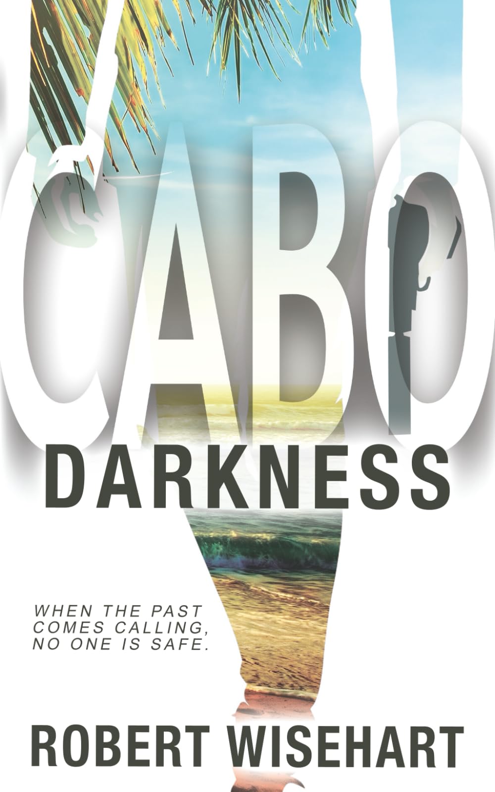Cabo Darkness: A PI Series