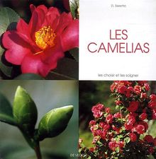 Les camélias : les choisir et les soigner