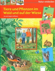 Tiere und Pflanzen im Wald und auf der Wiese: Natur entdecken