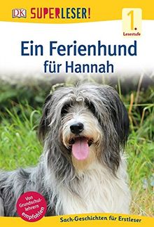 SUPERLESER! Ein Ferienhund für Hannah: 1. Lesestufe, Sach-Geschichten für Erstleser