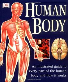 The Human Body (Illustrated Guide)