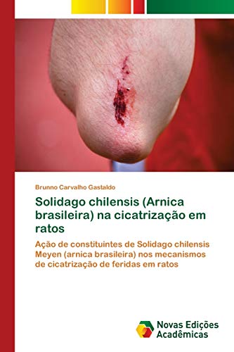 Solidago chilensis (Arnica brasileira) na cicatrização em ratos: Ação de constituintes de Solidago chilensis Meyen (arnica brasileira) nos mecanismos de cicatrização de feridas em ratos