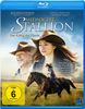 Midnight Stallion - Der König der Pferde [Blu-ray]