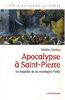 Apocalypse à Saint-Pierre : la tragédie de la montagne Pelée