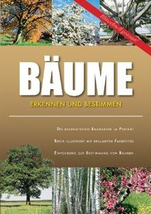 Bäume - Erkennen und Bestimmen