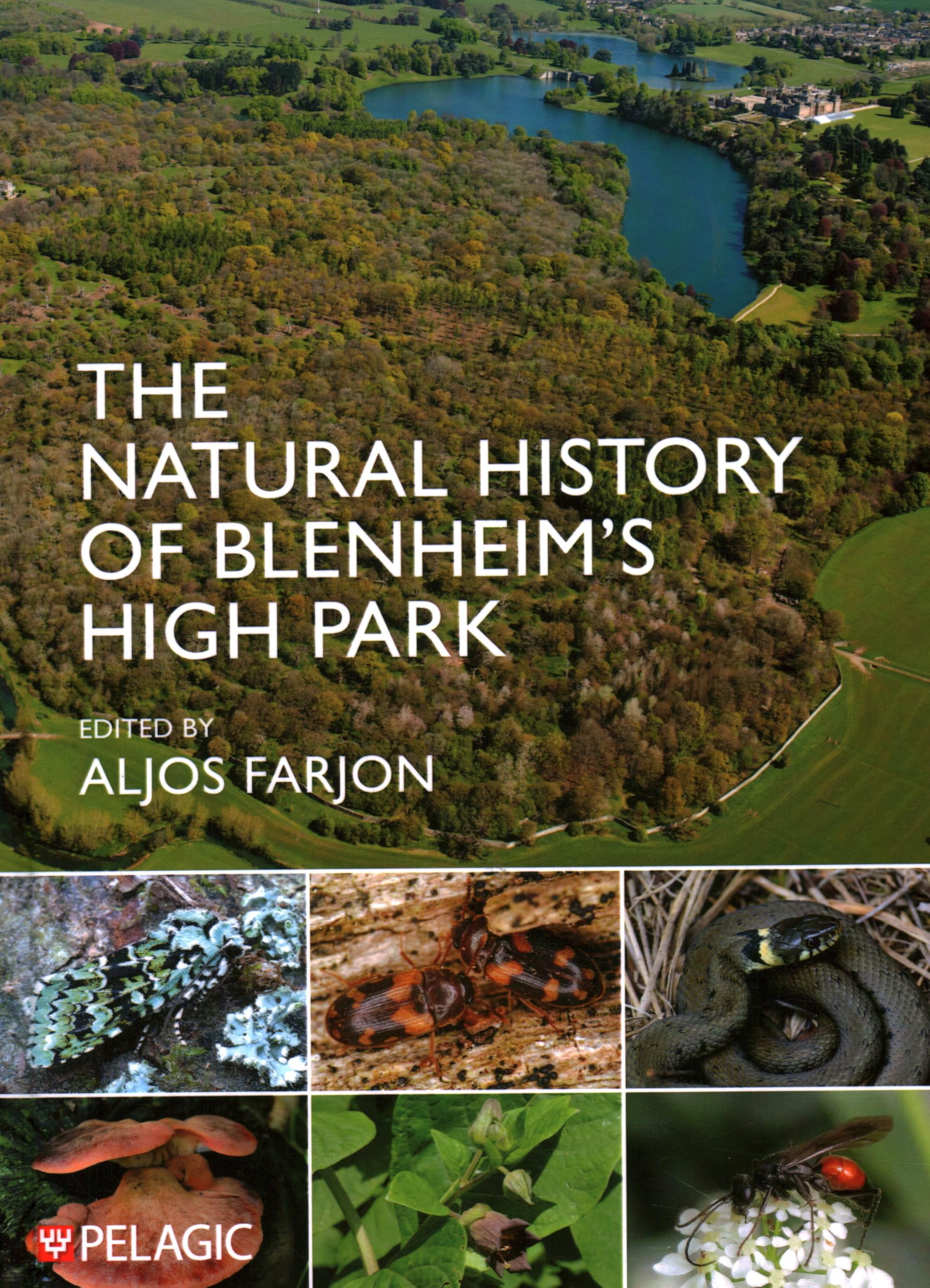The Natural History of Blenheim's High Park