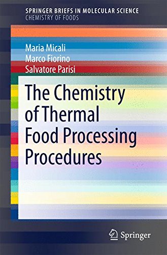 The Chemistry of Thermal Food Processing Procedures (SpringerBriefs in Molecular Science)