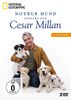 Notruf Hund - Einsatz für Cesar Millan: 3. Staffel [2 DVDs]